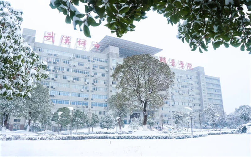 武漢城市職業(yè)學(xué)院