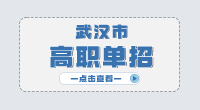 武漢市高職單招主要考什么?