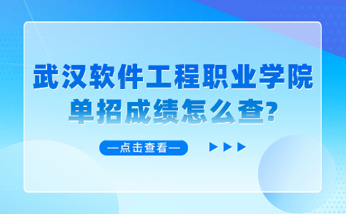 武漢軟件工程職業(yè)學(xué)院?jiǎn)握? style=