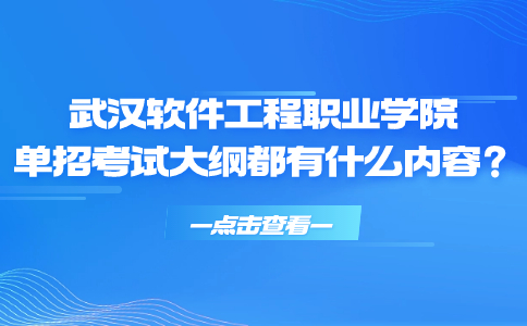 武漢軟件工程職業(yè)學院單招