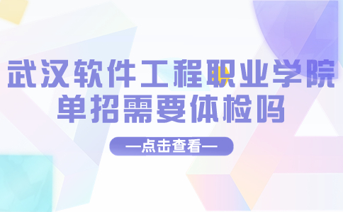 武漢軟件工程職業(yè)學(xué)院單招