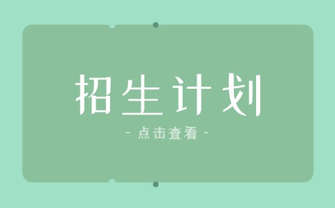 2024年荊州理工職業學院高職單招招生計劃
