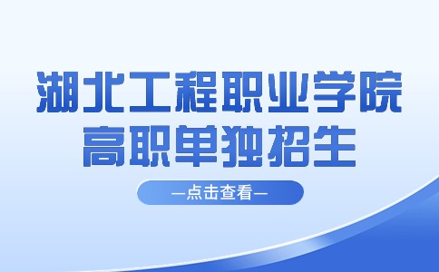 2024年湖北工程職業學院高職單獨招生專業