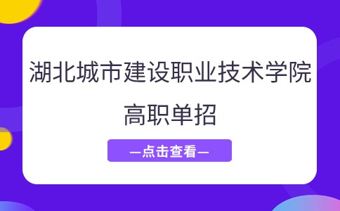 湖北城市建設職業技術學院2024年高職單招錄取分數線