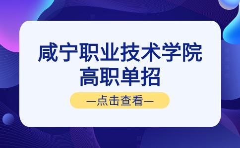 咸寧職業技術學院高職單招
