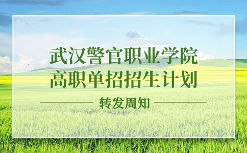 2024年武漢警官職業(yè)學(xué)院高職單招招生計劃