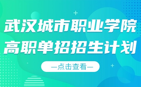 武漢城市職業學院2024年高職單招招生計劃